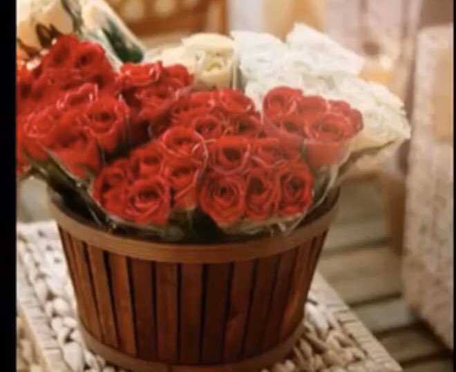 ta_jdy's tweet photo. صباح الخير 🌹 https://t.co/bW77dbYP6J