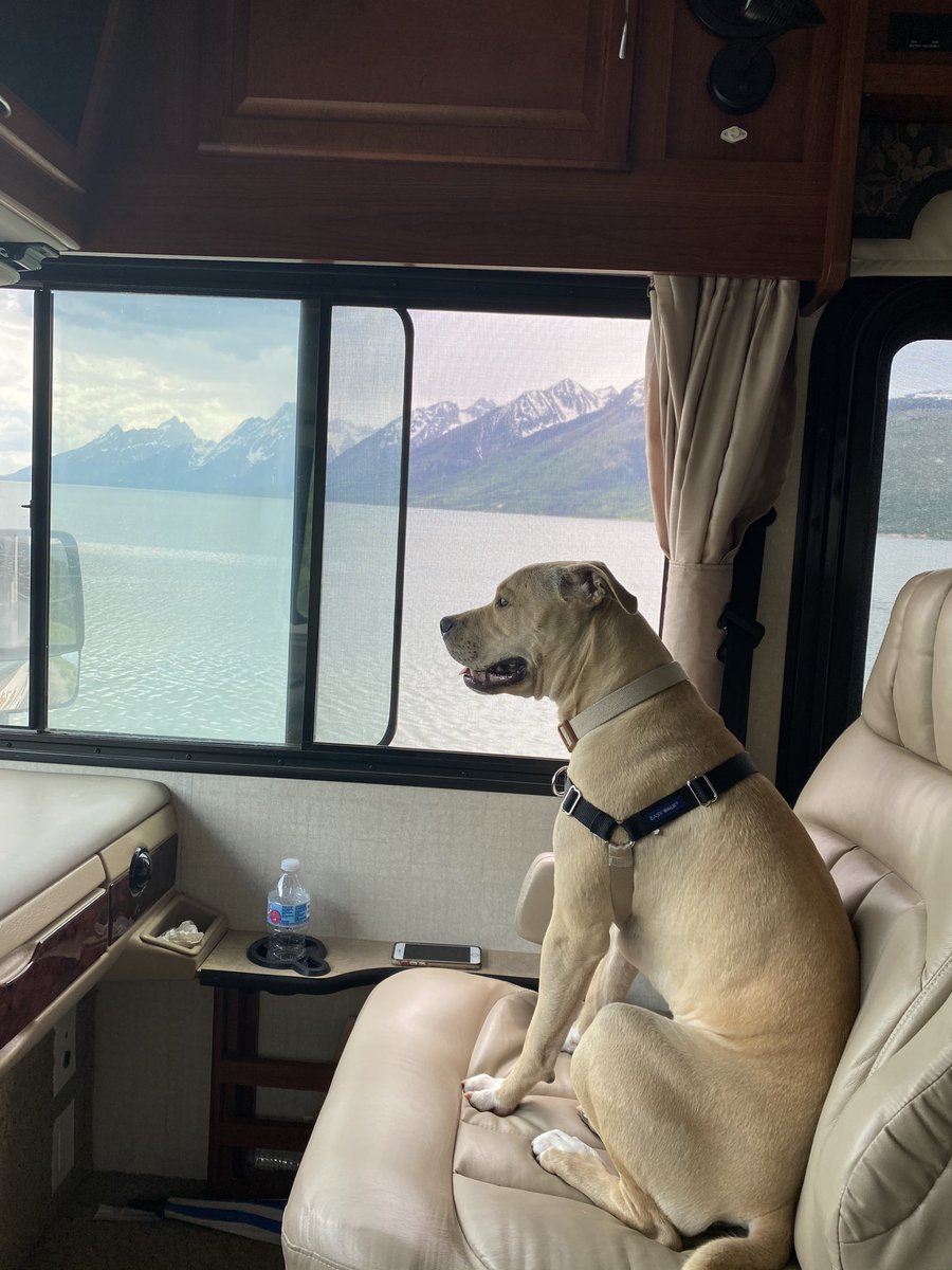 rfk2012's tweet image. Who doesn’t like the Grand Tetons ?