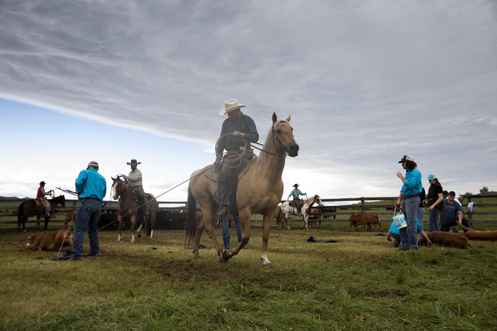 chinookranch's tweet image. Made for some awesome pictures Earl.