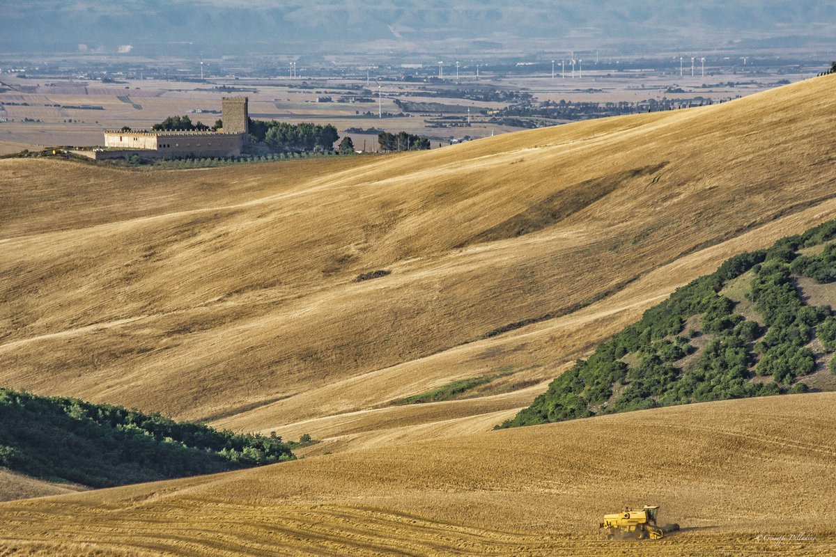 JosefPalladino's tweet photo. La terra produce il #grano. Ma l'uomo produce il #sogno del grano.

#25giugno #Estate2020 #giuseppepalladino #puglia #sky #weareinpuglia #rocchettasantantonio #regionepuglia #gius01pal https://t.co/s6X38Kiszj