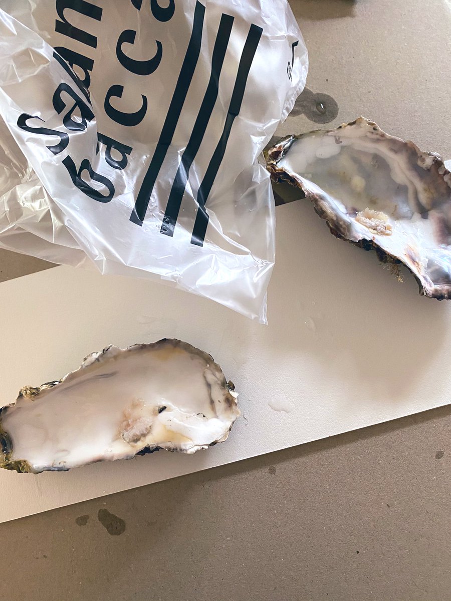 叩き割る Twitter Search