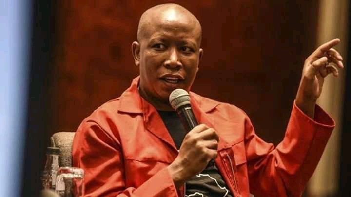Marco_Ngoepe3's tweet photo. "They are afraid of #malela coz he doesn't bow to their masters and fear his contribution towards making sure that an African mind is free from colonial slavery" and I solely beleive it💗💗💗
@Julius_S_Malema https://t.co/zHGCqnHjb7