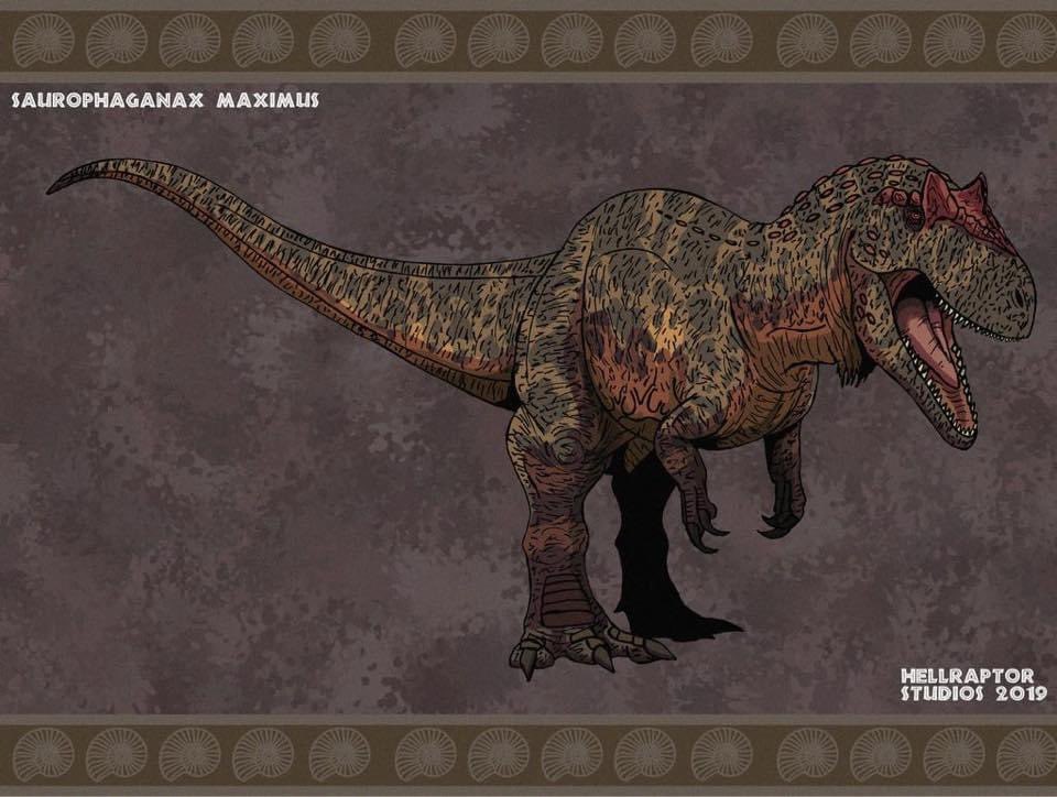 For  #TheSummerOfTheropods, I’ll be introducing our first “controversial” theropod,  #Saurophaganax, the “lord of lizard eaters”, a large allosauroid dinosaur from the Morrison Formation of the Late Jurassic of Oklahoma. Art by Hellraptor Studios