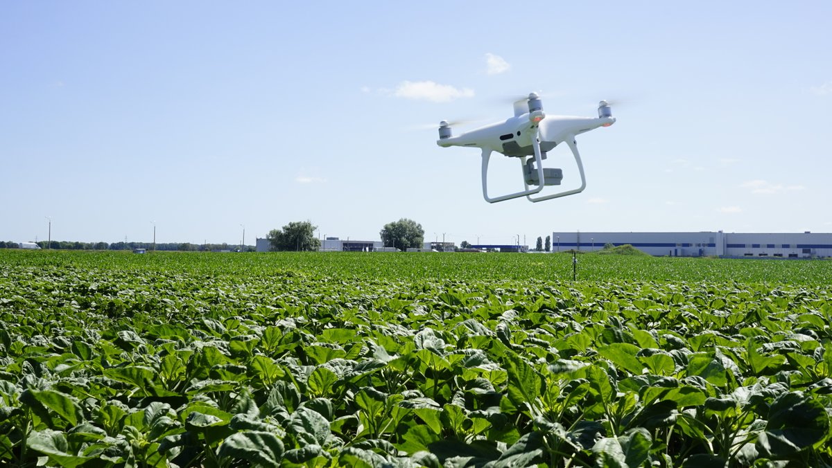 drone_ua's tweet image. Работы над проектом DigitalField продолжаются. 
Уже на этой неделе мы примем участие в анализе эффективности внесения азотных удобрений и сможем увидеть как различные нормы влияют на прирост биомассы на различных участках.

#Digitalfield #DroneUA