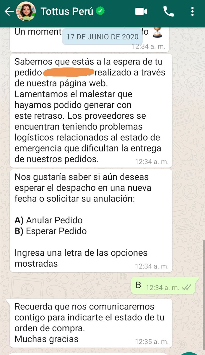 rmrmetal's tweet photo. Es frustrante que hagas un pedido importante el 12 de mayo y te respodan asi un 23 de junio @tottusperu @IndecopiOficial https://t.co/hjNe9tBx40
