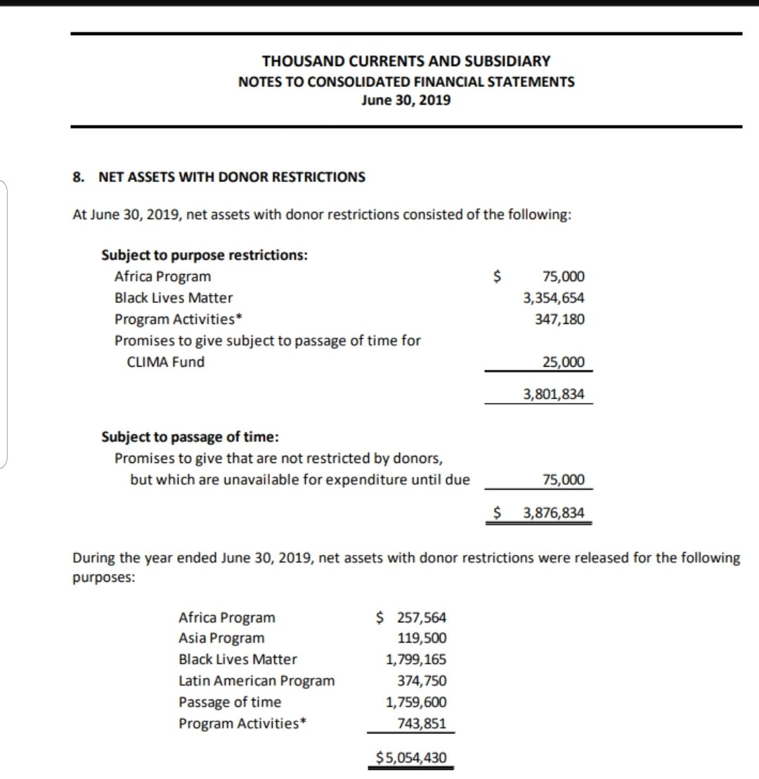 Thousand currents made some big $$ in 2019 through their "fiscal sponsorship of the Black Lives Matter Global Network"BLM is a scam.