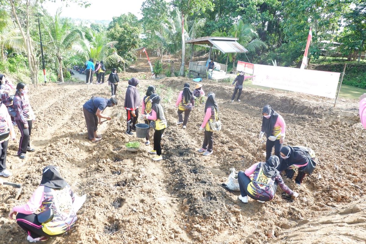 WtuWahyu's tweet photo. Ketua Bhayangkari Cabang Barito Utara beserta pengurus dan anggota Bhayangkari turut mendukung Program Ketahanan Pangan Polres Barito Utara
#MenujuNewNormal https://t.co/JD0m9GPpgf