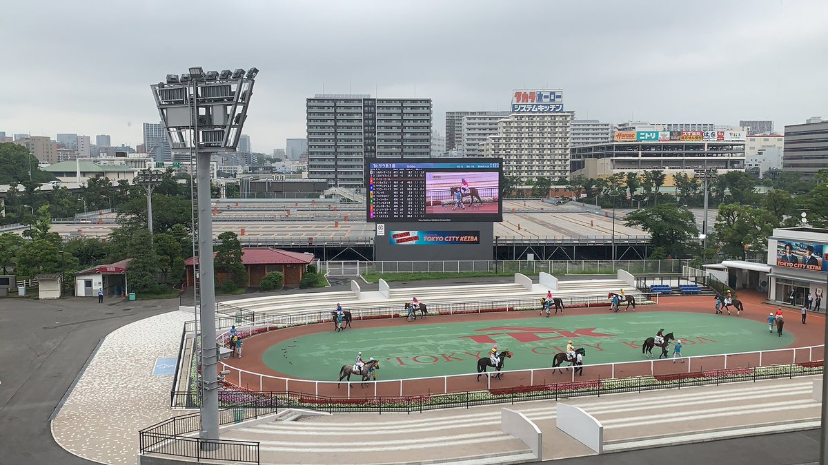 高橋明日香 フリーアナウンサー ありがとうございます