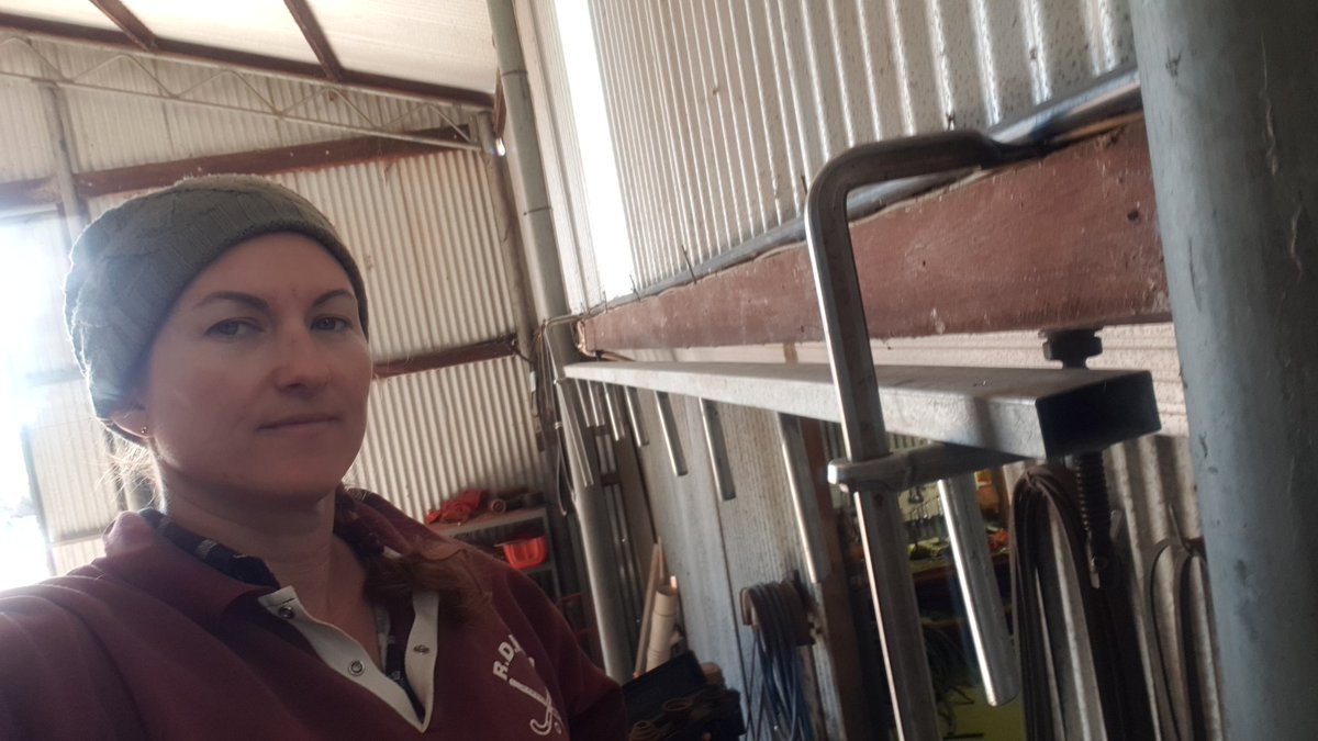 fiona_palmer's tweet photo. Today's job. Make a belt hangy thing from leftover bits cos the nails aren't long enough. #itwilldo https://t.co/CN9n5XlQK7
