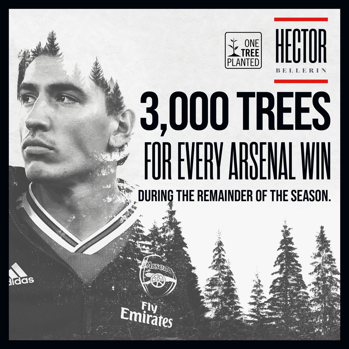 Football Tweet ⚽ tweet media