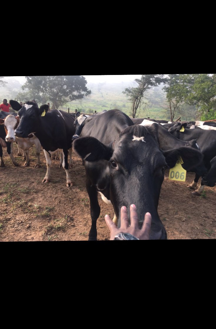 I need someone’s daughter in my dm