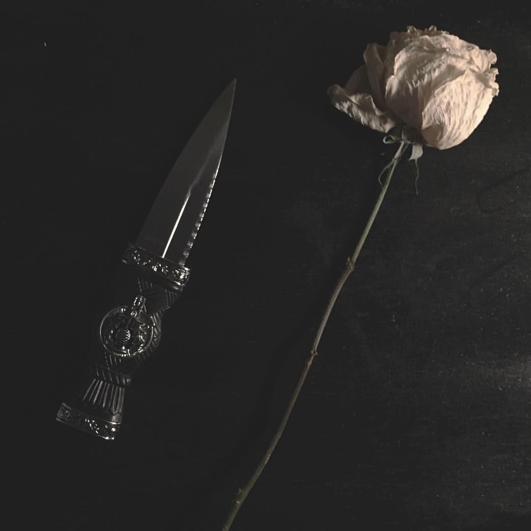 Syzygy ☀💫 tweet media
