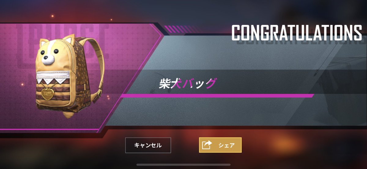 柴犬可愛い☺️
pubgする時間ないなぁ