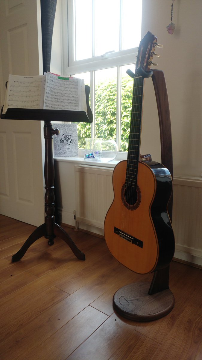 vin.leone.guitar tweet media