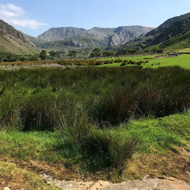 WalesTrails's tweet photo. Ogwen Valley 😍 Nant Ffrancon 😍 Y Glydrau #mywalestrails .
.
.
.

mindfulwalk #mindfulnesspractice #walkingformentalhealth #healthylifestyle #mentalhealthawareness #walkingforhealth #lovetowalk #hikingaddict…

📸 https://t.co/S8yl7rsLdV via https://t.co/IFM5z5YKmS https://t.co/pOYOwcqgPR