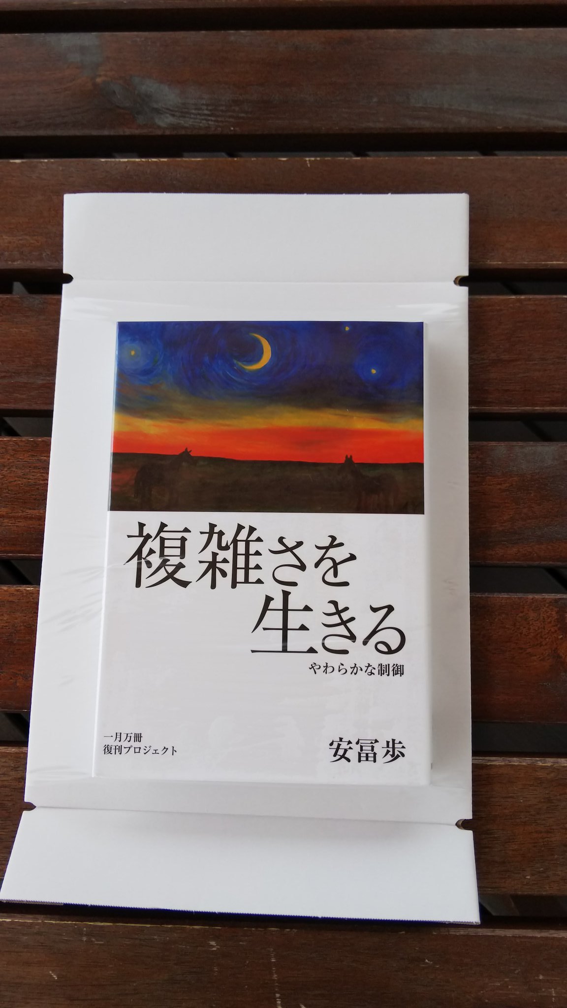 複雑さを生きる　安冨歩　特典動画なし 複雑さを生きる／安冨 歩｜フォーラム 共通知をひらく - 岩波書店