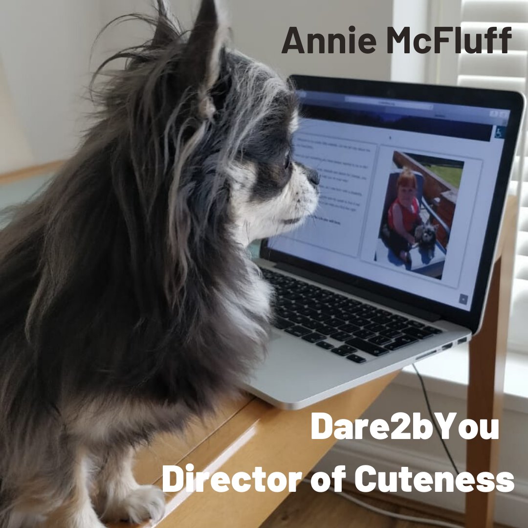 Blown away by the opportunities in just 48 hours since <a href="/Dare2byou2020/">Dare2byou</a> was launched online! More about that soon, but today I am introducing Annie McFluff. Director of Cuteness. Her role involves, being photographed, cuddled and making people smile!🐾#Dog #cutenessOVERLOAD