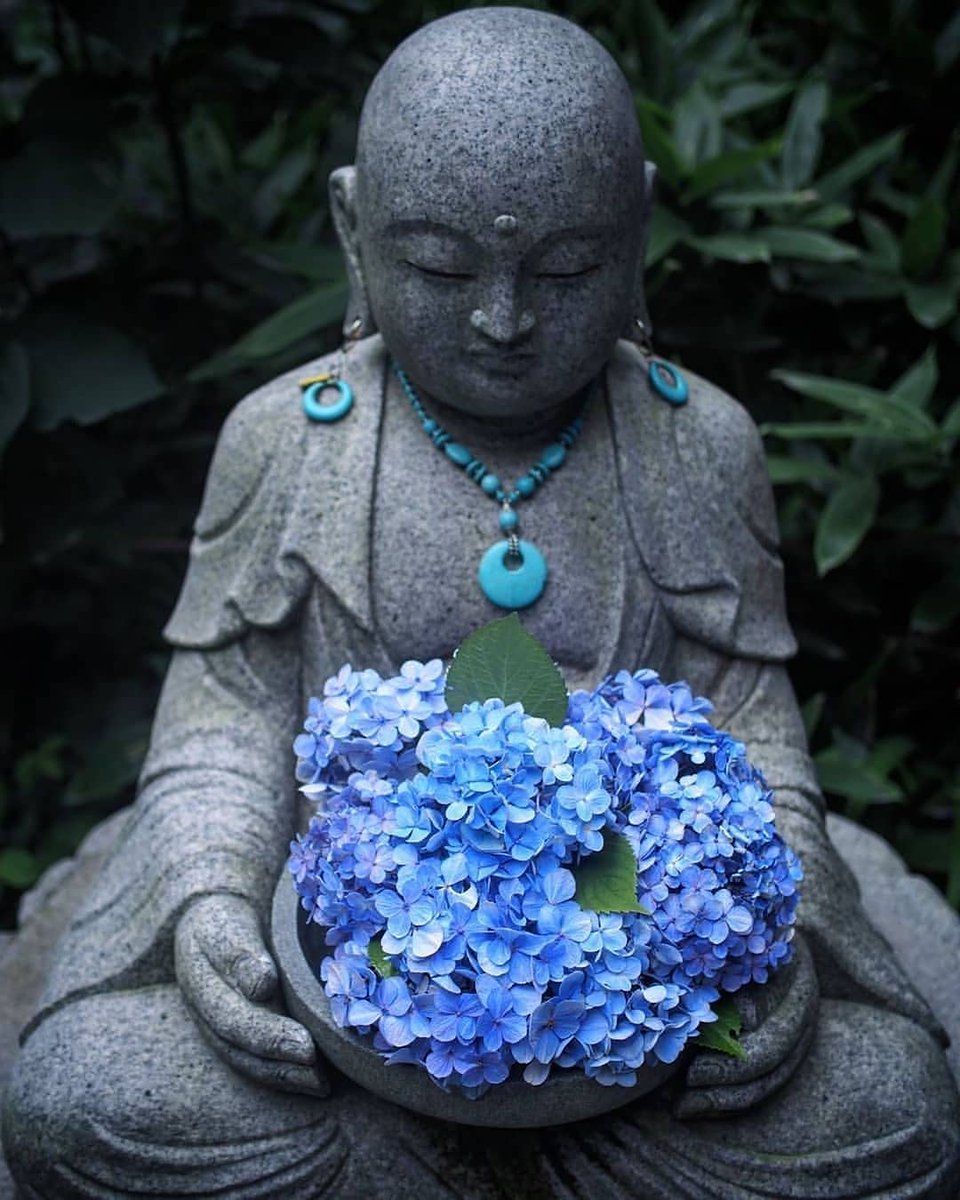 deepjapan_en's tweet photo. Meigetsuin Temple in Kamakura is famous throughout Japan for its bright hydrangeas that bloom in June. The temple grounds literally turn into a flower paradise--it is definitely a must-visit

Location: #Kamakura, Kanagawa, Japan

📸Photo by @lotus.f403 https://t.co/82pM8Z7o3n