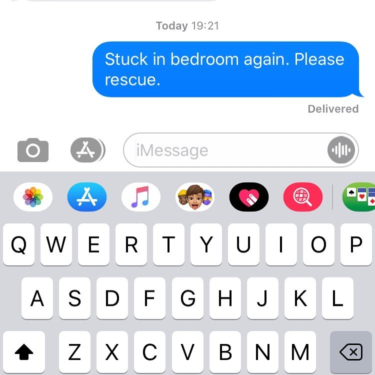 TH_AliW's tweet photo. Things you should never have to text your husband.  And certainly not more than once!! #renovationproblems #oldhouseproblems #priorityproblems 🙄 https://t.co/0ljVGKbBNh