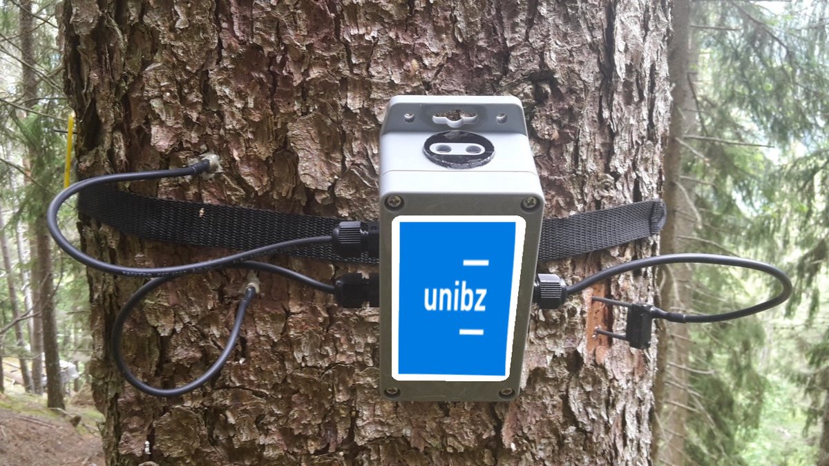etomelleriunib1's tweet image. New toys installed. #IoT #talkingtrees #ITTNet #unibz