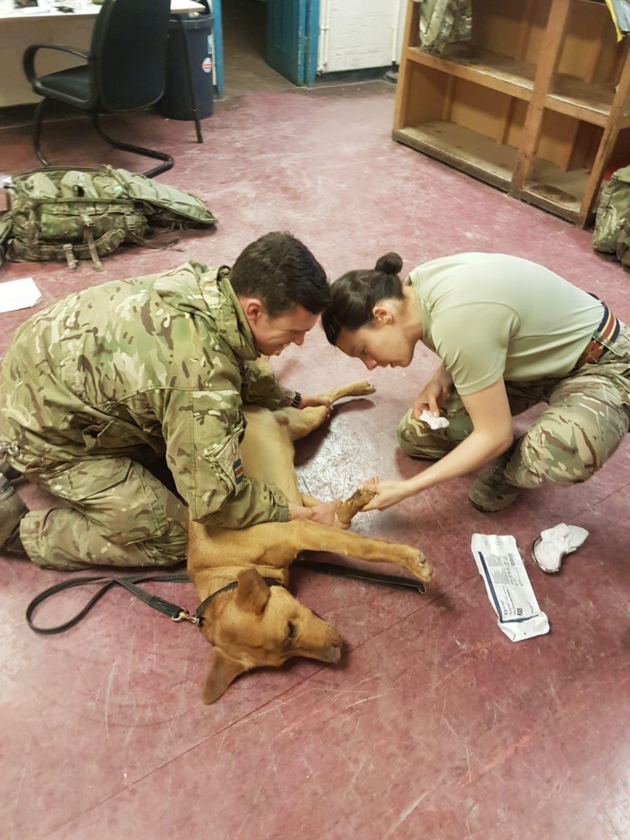 Royal Army Medical Service tweet media