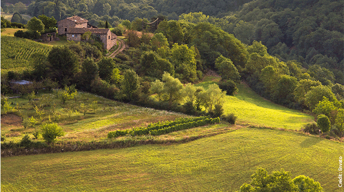 🏆L’agriculture nourrit, préserve, crée de la valeur et maintient l’activité rurale

⚖️ Serait-il exagéré de rémunérer ces services à leurs juste valeurs ?

🤔 MAEC et PSE, Agrifind décrit les nouveautés de la rémunération des services environnementaux !

agrifind.fr/remuneration-s…