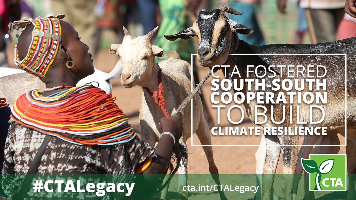 AmfratechLtd (@amfratech) on Twitter photo More than 20,000 pastoralists in #Kenya have benefited from index-based livestock insurance and #myAnga Ag-weather services developed by <a href="/CTAflash/">CTA</a> <a href="/amfratech/">AmfratechLtd</a> <a href="/aWhere/">aWhere</a> <a href="/ILRI/">ILRI.org</a> <a href="/TakafulAfrica/">Takaful Africa</a> #CTALegacy cta.int/CTAlegacy #Climark(Climate Livestock&Markets) #Resilience <a href="/DonnaBow/">Donna Bowater</a> More than 20,000 pastoralists in #Kenya have benefited from index-based livestock insurance and #myAnga Ag-weather services developed by <a href="/CTAflash/">CTA</a> <a href="/amfratech/">AmfratechLtd</a> <a href="/aWhere/">aWhere</a> <a href="/ILRI/">ILRI.org</a> <a href="/TakafulAfrica/">Takaful Africa</a> #CTALegacy cta.int/CTAlegacy #Climark(Climate Livestock&Markets) #Resilience <a href="/DonnaBow/">Donna Bowater</a>