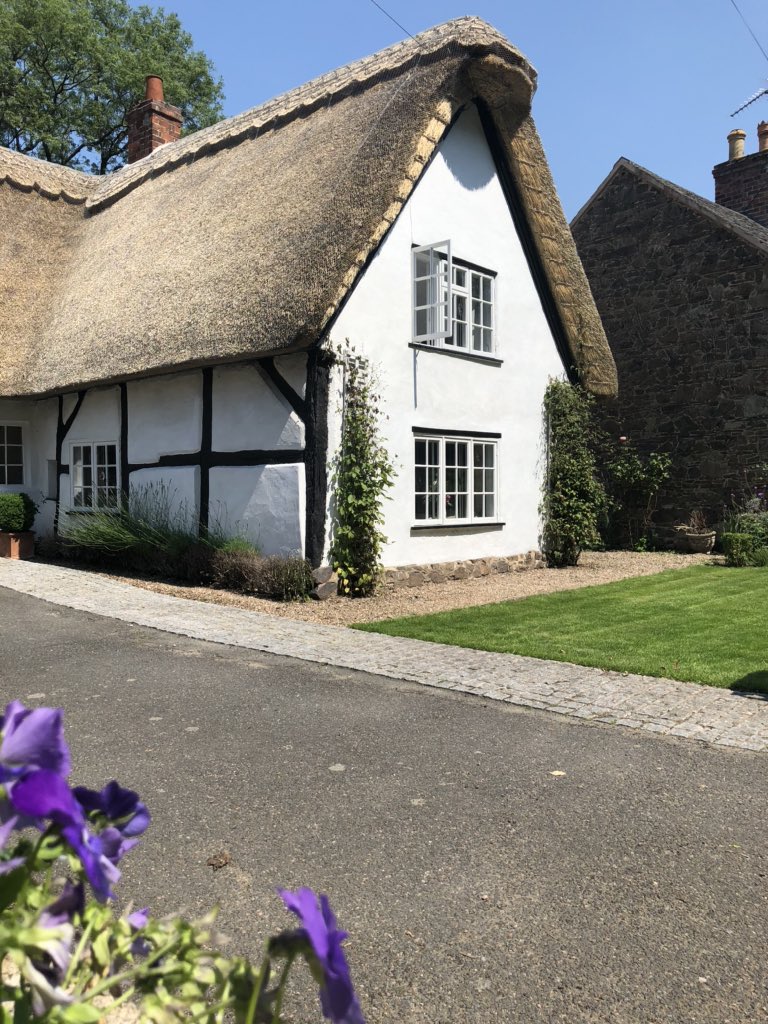 Neha D’Souza tweet media