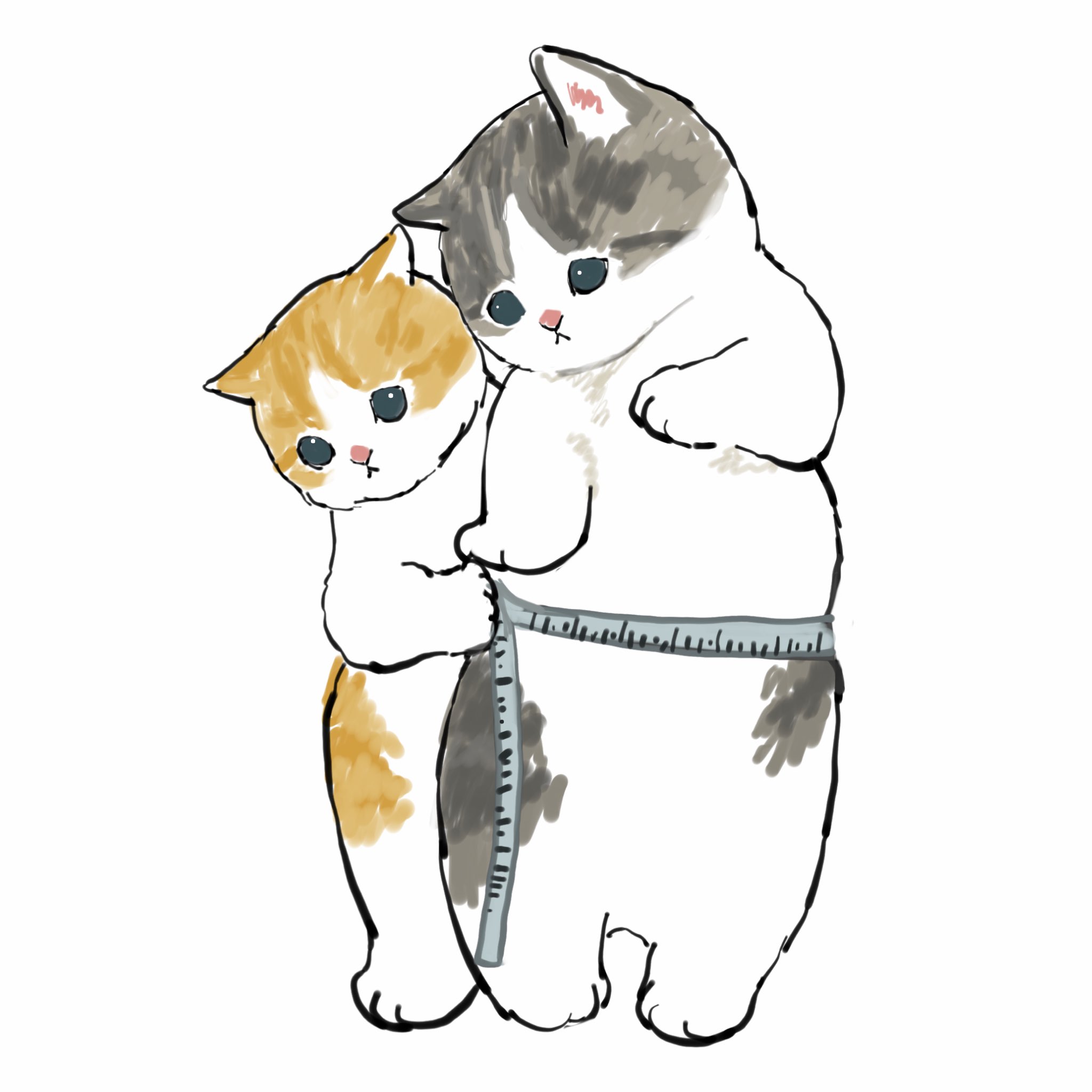 Котик который меряет