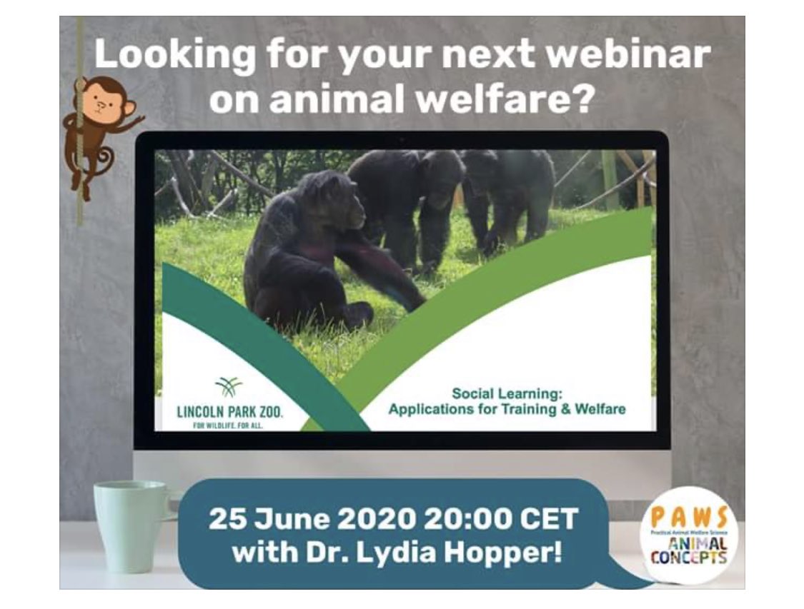 LydiaMHopper's tweet image. I’m excited to give this talk today as part of @SBrandoMSc’s #PracticalAnimalWelfareScience series. From ants to zebras, I’ll discuss how you can leverage zoo animals’ ability to copy others to enhance welfare &amp;amp; training outcomes  #BehavioralManagement m.facebook.com/groups/practic…