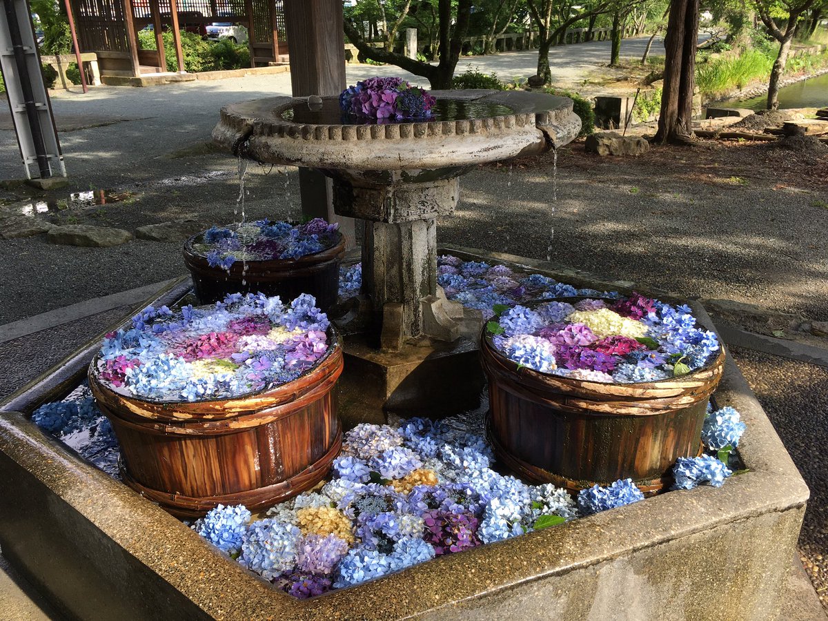 Marine7003 こちらもステキな花手水 三柱神社 柳川 花手水 紫陽花 T Co Hqzdwq1fe1 Twitter