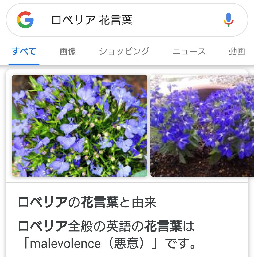 陽月 ロベリアの花言葉 悪意 ぴったりじゃないか推しと花言葉のアルモニ ッッッッ Ffボイス T Co Lodwjjetj4 Twitter