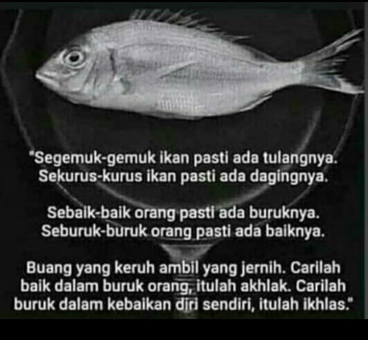 ekobroe22's tweet photo. Semua manusia pasti punya kesalahan https://t.co/kiXRQ2eTgU