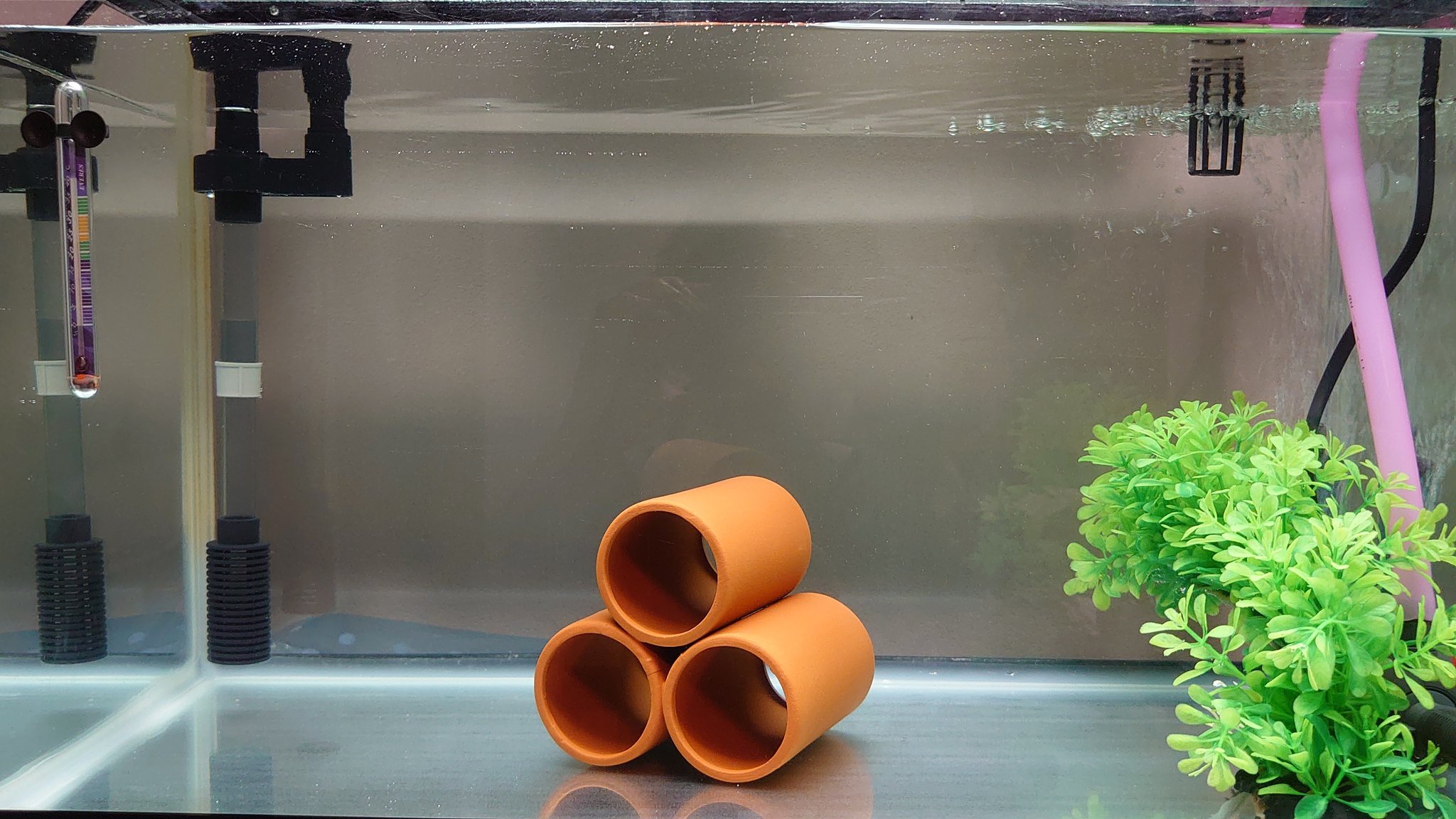 小波白狼 最近全く床面を歩かないなと思っていたら どうもバイオフィルムの所為でぬるついて歩けなかったらしい 掃除したら水槽がとても綺麗に ころ家のウパ日記 T Co Leltljxpix Twitter