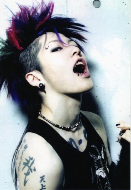 Some of the vkei acts I liked from that time include the GazettE, Miyavi, SCREW, and vistlip. They often perform(ed) rock music with nu-metal and hard rock influences, and visually had darker aesthetics...