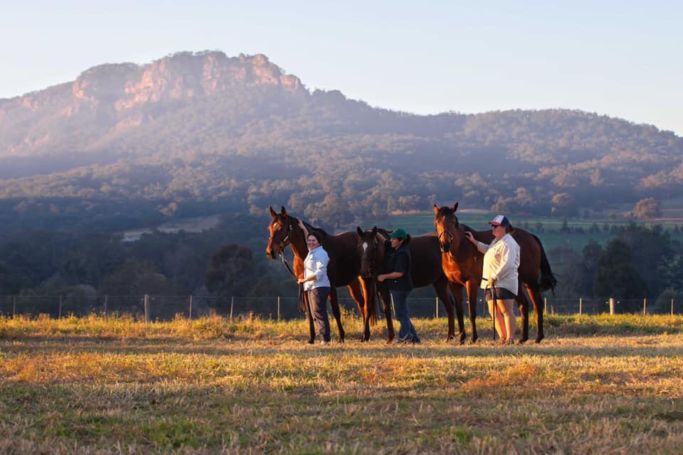 Georgia, Jade and Kaylee with 3 of the <a href="/mmsnippets/">Magic Millions</a> mares. The Wingen Maid makes for a beautiful backdrop! 😍 

Pictured are:
Lot 556 - Baumgartner Miss, IFT Star Witness.
Lot 611 - Craft Show (USA), IFT Russian Revolution.
Lot 560 - Before Dawn (NZ), IFT Written By.
