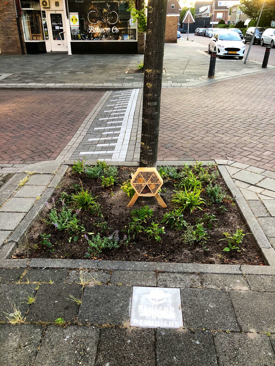 Hebben jullie de nieuwste groen aanwinst in de buurt, Ruygenhoeklaan Hoograven Utrecht, al gezien? <a href="/GrrGardenersNL/">Guerrilla Gardeners</a> <a href="/MaritOverbeek/">Marit Overbeek</a> <a href="/riddertuin/">Riddertuin</a> <a href="/RonBuiting/">Ron Buiting</a> <a href="/hoograven11/">W. de jong</a> <a href="/annevannijf/">Anne van Nijf</a> <a href="/GemeenteUtrecht/">Gemeente Utrecht</a>