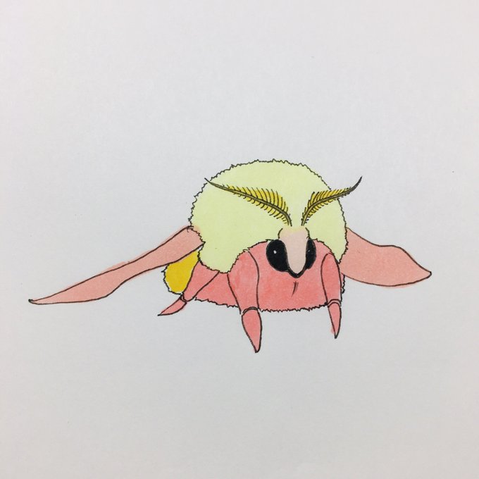 ロージーメープルモスのtwitterイラスト検索結果