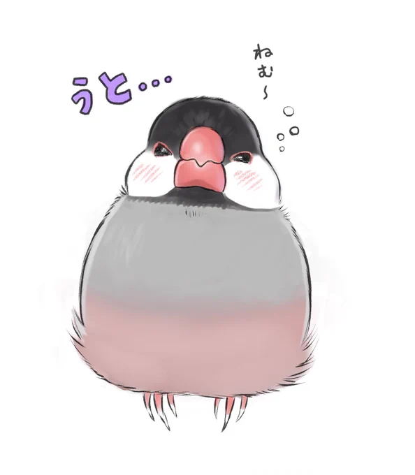 シャッターチャンス。。。 