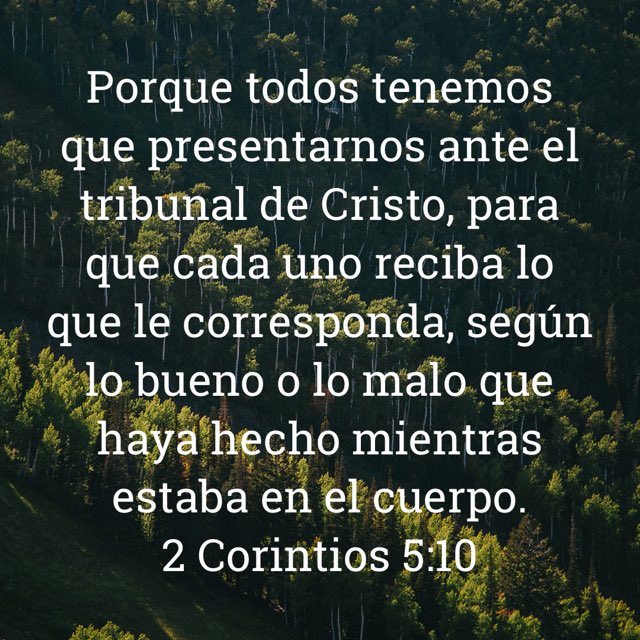 Job4211's tweet photo. #Dios es más Justicia que Misericordia.

De hecho, todos compareceremos ante el tribunal de Cristo, pero no con todos tendrá misericordia.
Misericordia es, que no nos dará el pago que realmente merecen nuestras obras.

#Jesús, ten compasión de mí.
#SagradasEscrituras
#Fe #Oración https://t.co/fly9dlAvQZ