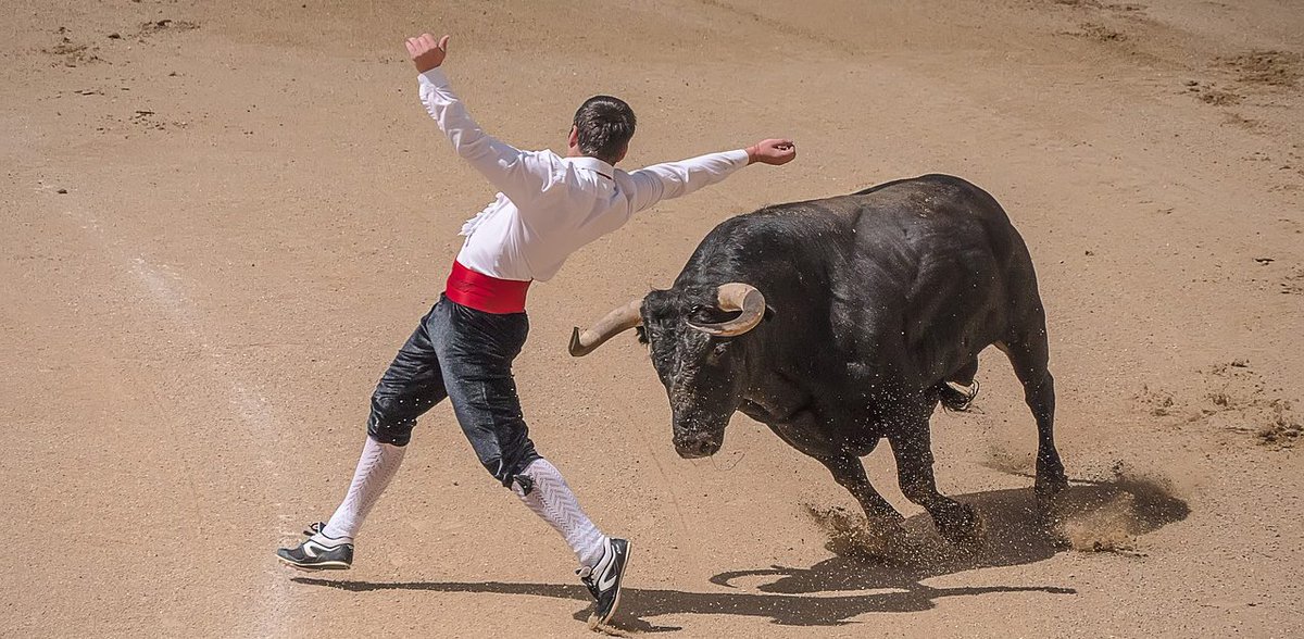 vacation_book's tweet photo. 7 Things to Do In #Spain

https://t.co/RJd6HENc77

#Europe #Travel #Vacation https://t.co/9MvnogNaU3