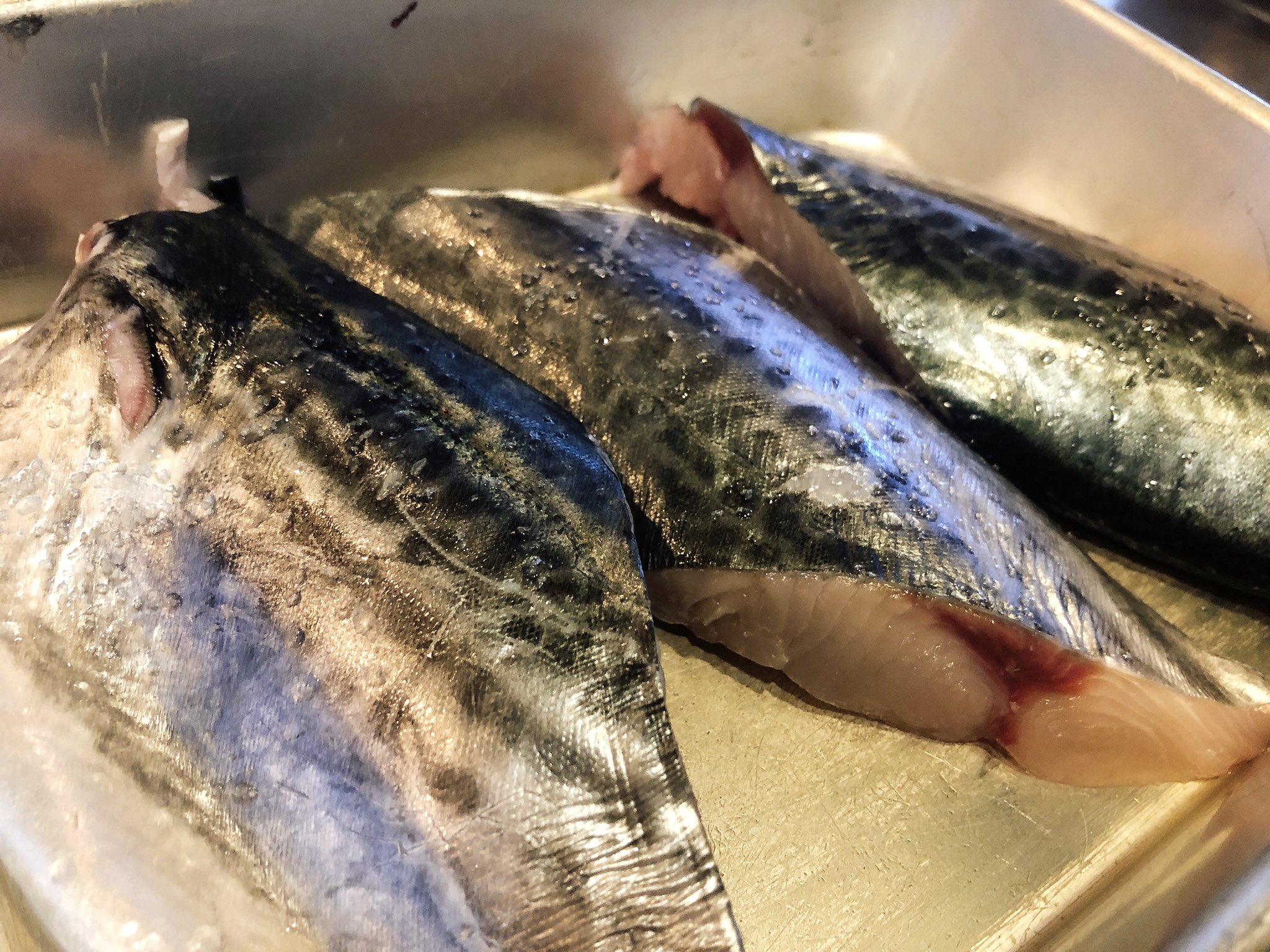 孫ヱ門 Auf Twitter さごしは塩焼きにします 身がふわふわで美味 さごし さごち 夏の魚 T Co Pfisvft3hw Twitter