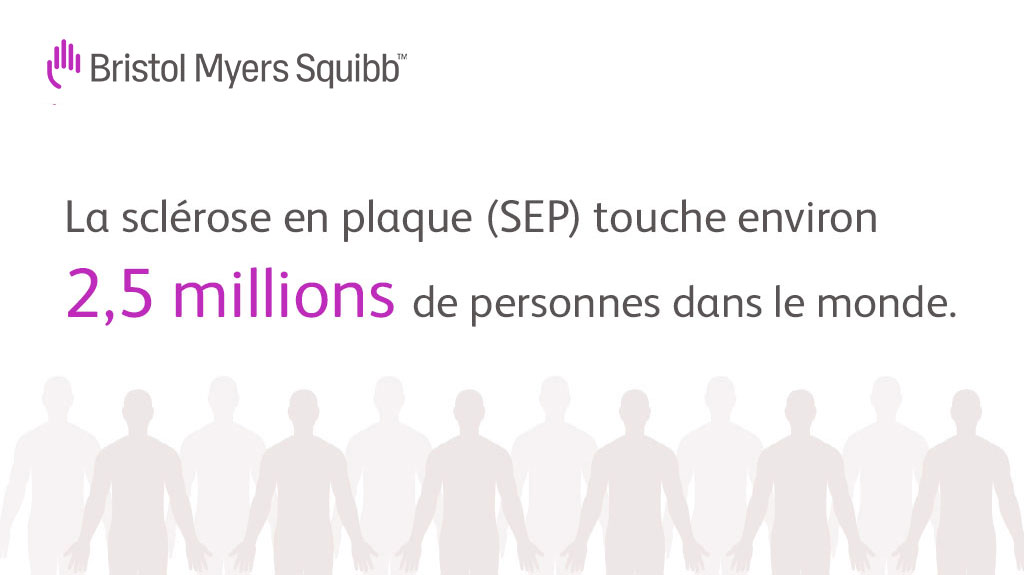 BMSFrance tweet picture
