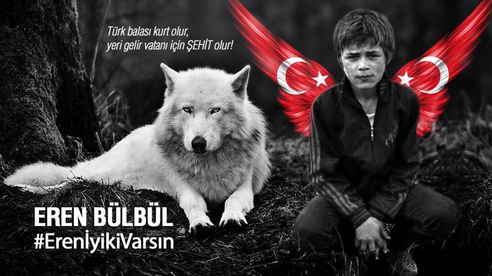 Türk balası kurt olur, yeri gelir vatanı için Şehit olur!
#iyikivarsınEren