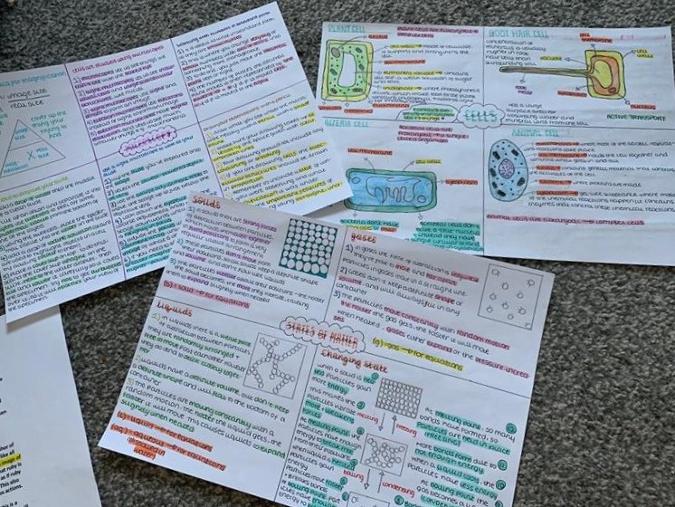 Amazing biology work from one of our lovely year 10s.