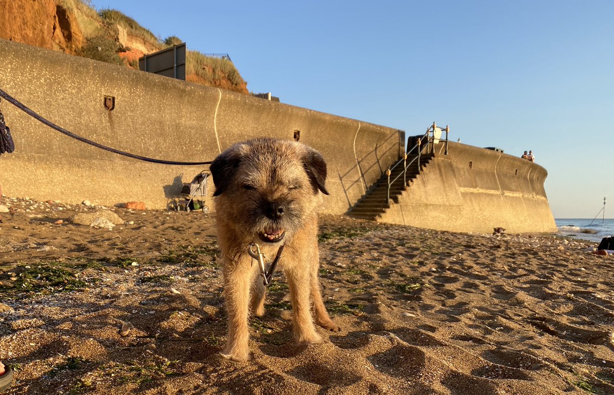 MrSebBT's tweet photo. OMD just couldn’t believe my luck. My magical mystery tour ended up on the beach. I just had to shut my eyes to check I want dreaming ...... #happySeb #btposse https://t.co/LDozLQKirA