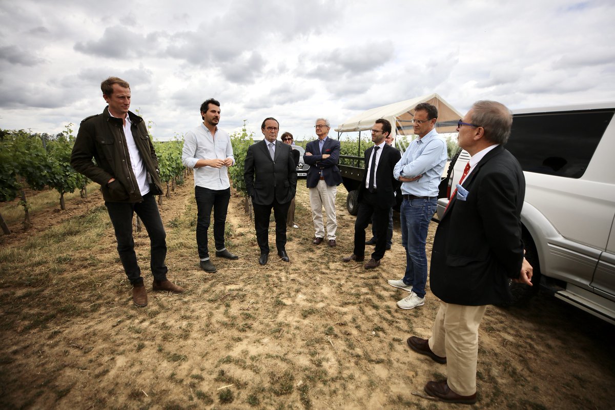 #Loisirs 🍇 À #Davron, la <a href="/WinerieP/">Winerie Parisienne</a> a imaginé un parcours oeno-touristique avec une visite du village, une découverte du vignoble et une dégustation des vins accompagnée de produits fabriqués dans les Yvelines.
➡️ bit.ly/2A2vj9r