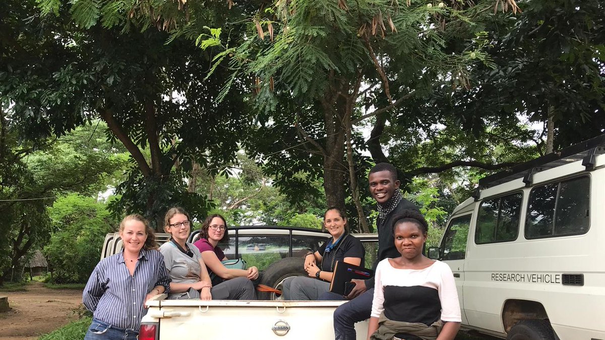 An exciting opportunity to be part of African Bat Conservation TEAM! We are recruiting for Research Assistants to assist in all aspects of field #research work in and around #Malawi as part of our ABC #Bat Project Team🦇 environmentjob.co.uk/volunteering/7… #Wildlifejob #WildlifeWednesday