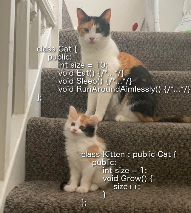 ProgrammerCats's tweet image. How inheritance works in #cplusplus. #codinglife #codinghumor #codingmemes #programmerhumor #programmingmemes #programming #catmemes