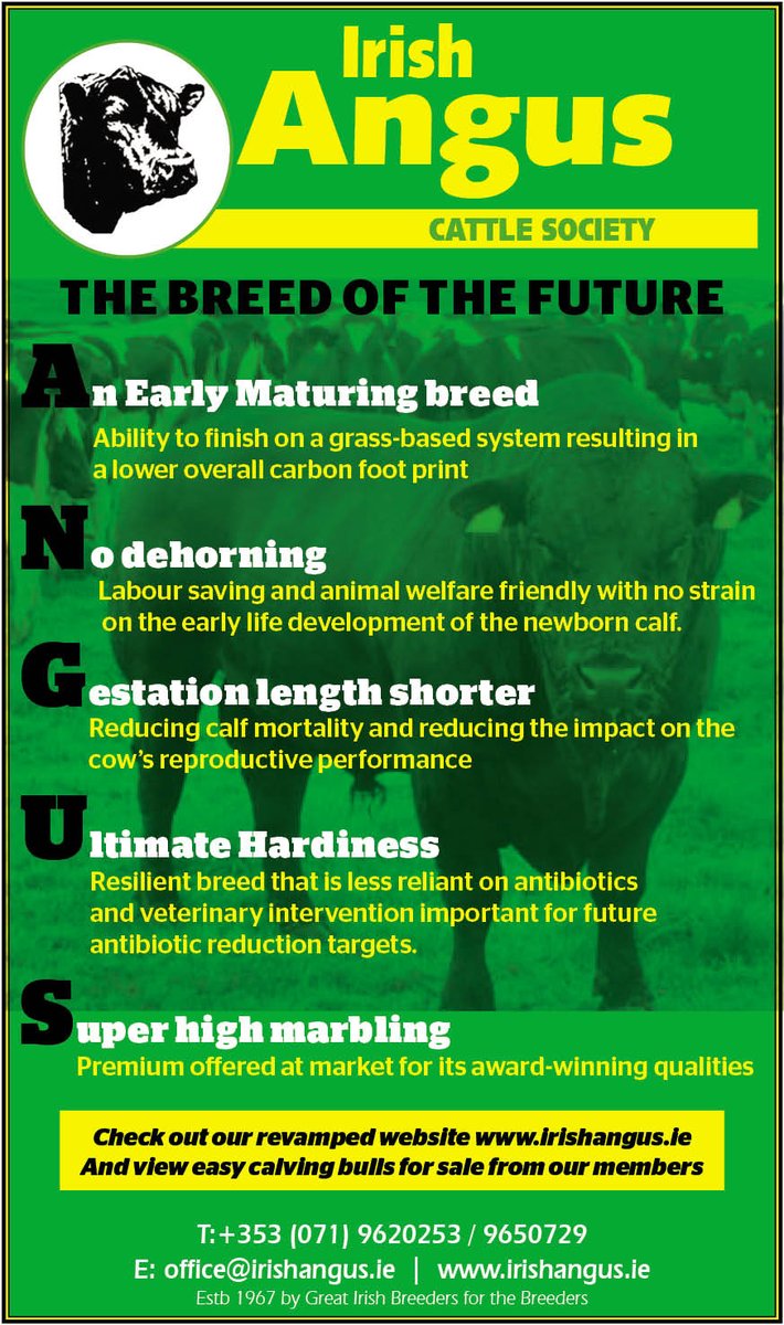 Irish Angus Cattle Society (@cattleangus) on Twitter photo 